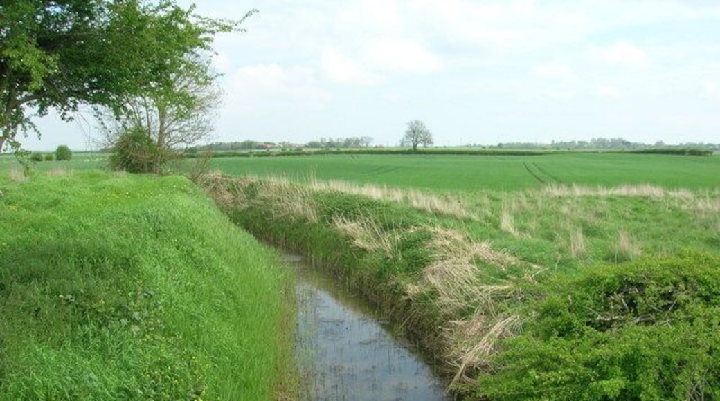 Nafferton Drain, Brigham, East Riding of Yorkshire, England.