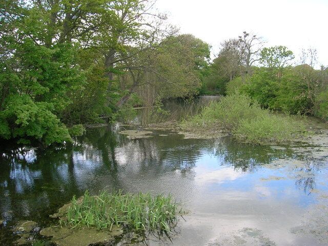 Wold Newton Larger Pond Fed by Gypsey Race.
