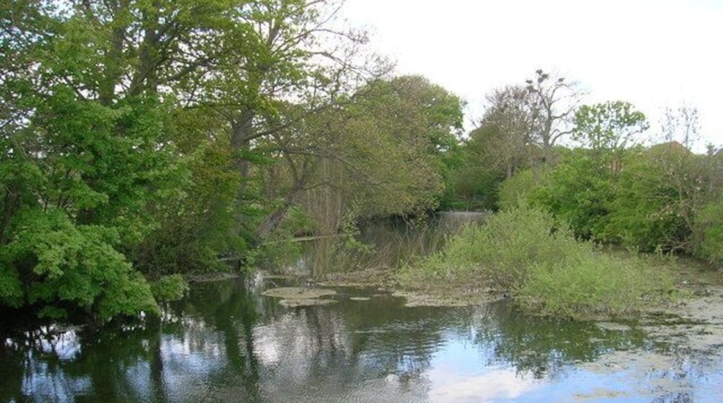 Wold Newton Larger Pond Fed by Gypsey Race.