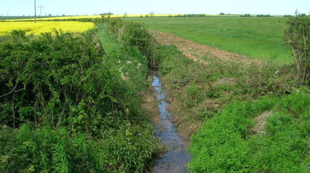 Field Drain near Nafferton, East Riding of Yorkshire, England.