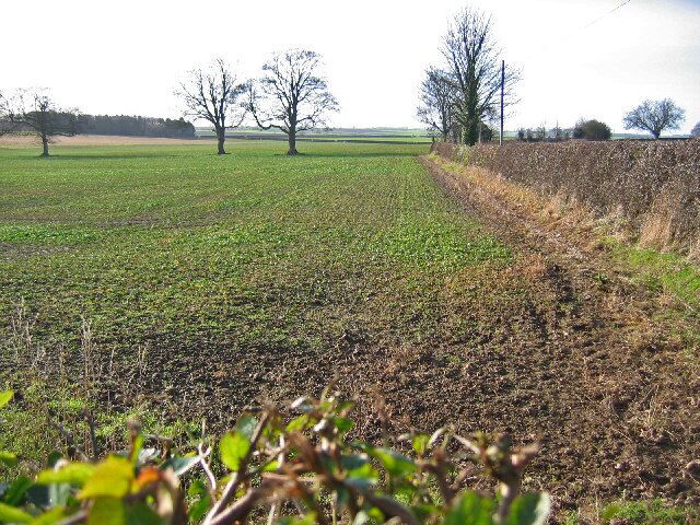 West of Bainton, East Riding of Yorkshire, England. View west from the road junction on the B1246 and the minor road from Bainton. A typical view of this grid square looking west.