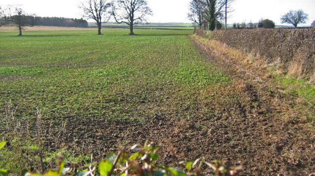West of Bainton, East Riding of Yorkshire, England. View west from the road junction on the B1246 and the minor road from Bainton. A typical view of this grid square looking west.