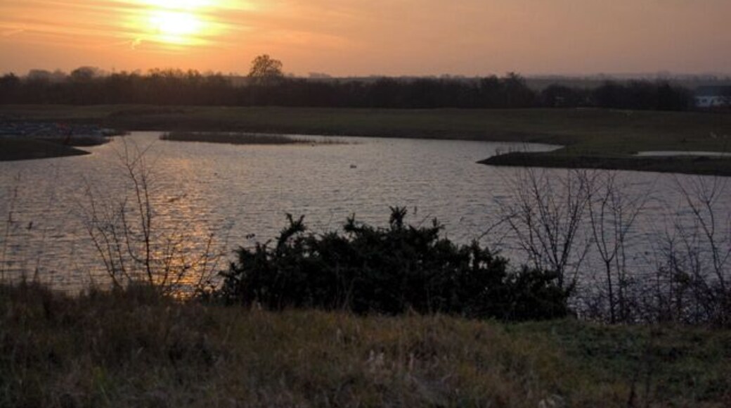 Coneygarth Pond, Brandesburton, East Riding of Yorkshire, England. Seen from Starcarr Lane.