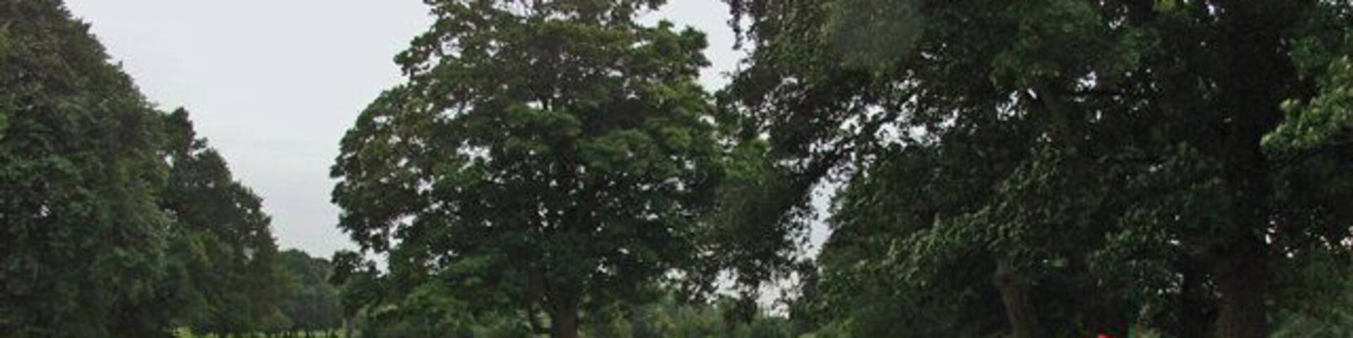 Hainsworth Park Golf Club, Brandesburton, East Riding of Yorkshire, England. 18-hole course to the west of the village. http://www.hainsworthparkgolfclub.co.uk to club website