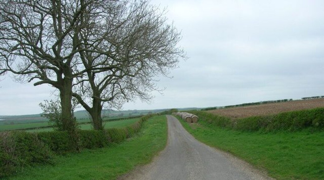 Minor Road out of Foxholes Heading towards Sherburn.