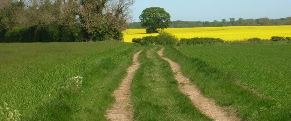 Track to Lowthorpe, East Riding of Yorkshire, England.
