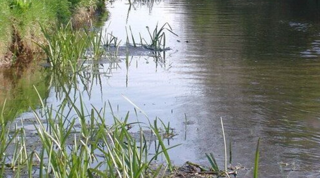 Nafferton Beck, Wansford, East Riding of Yorkshire, England. Looking south towards the farm bridge on the track to Pleasant Wood.