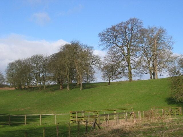 SW of Sledmere, East Riding of Yorkshire. View west from the lane which heads up to join the B1251 to Sledmere.