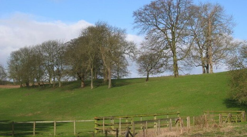 SW of Sledmere, East Riding of Yorkshire. View west from the lane which heads up to join the B1251 to Sledmere.