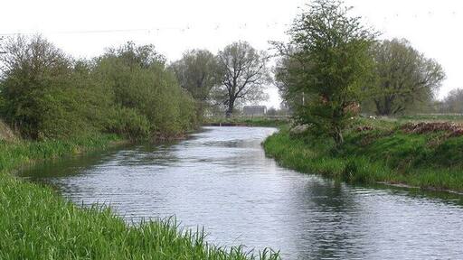 The Driffield Canal, Wansford, East Riding of Yorkshire, England. Looking south along the disused Driffield Canal from the field boundary between Wansford Bridge and Snakeholm Lock.