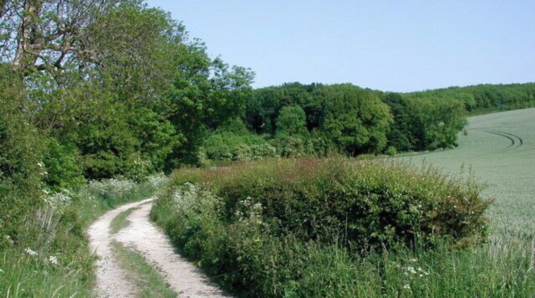 South Side Lane, Rudston, East Riding of Yorkshire, England. Farm road with public access south of Rudston, looking southeast towards South Side Mount and Zigzag Plantation.