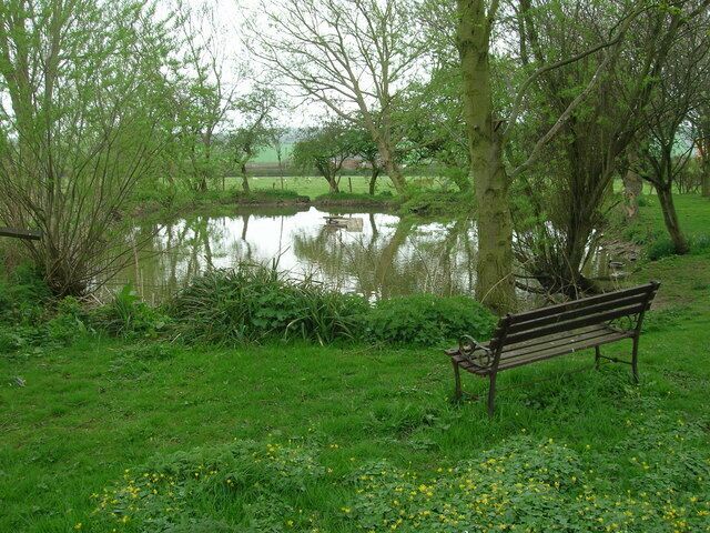 Foxholes Duck Pond