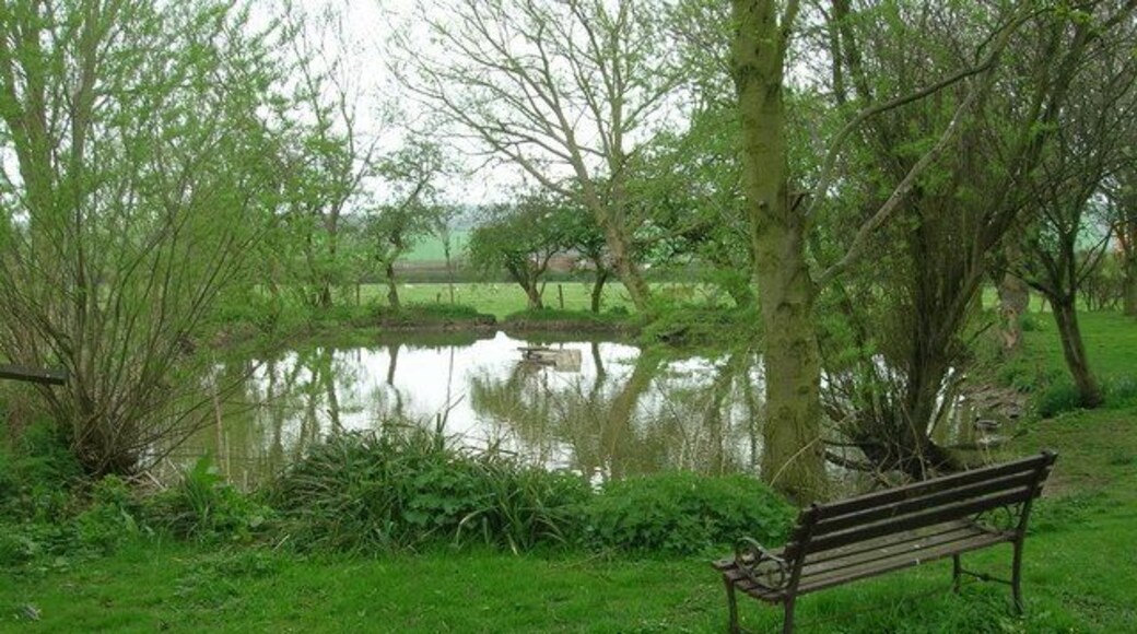 Foxholes Duck Pond
