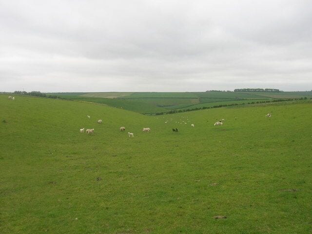 Wolds Farmland, Langtoft, East Riding of Yorkshire, England.