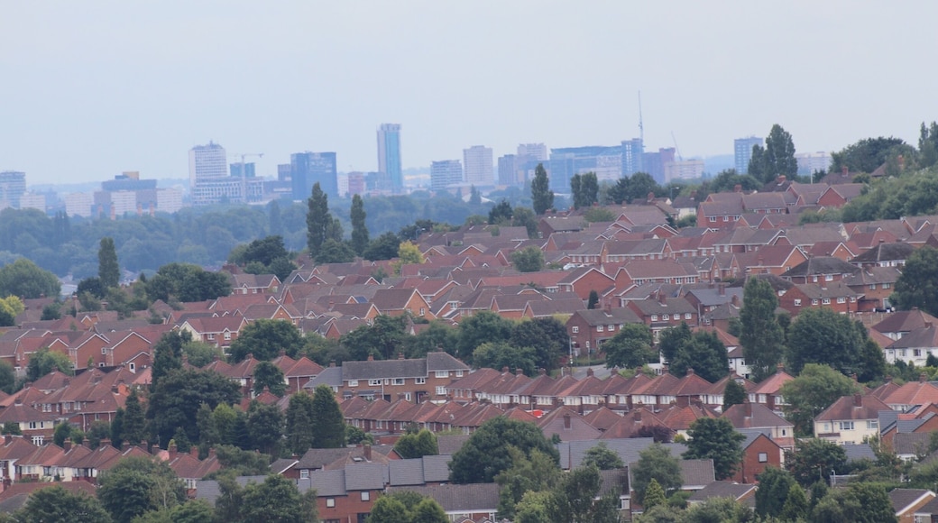 View from the castle.