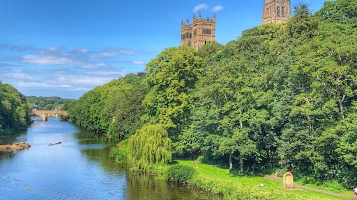 We stopped by Durham today as part of a University Open Day visit and took some time to also explore the town.
As well as the cathedral which commends a great spot over the river there is also the castle, botanical gardens as well as lots of old parts of the beautiful town to explore.
