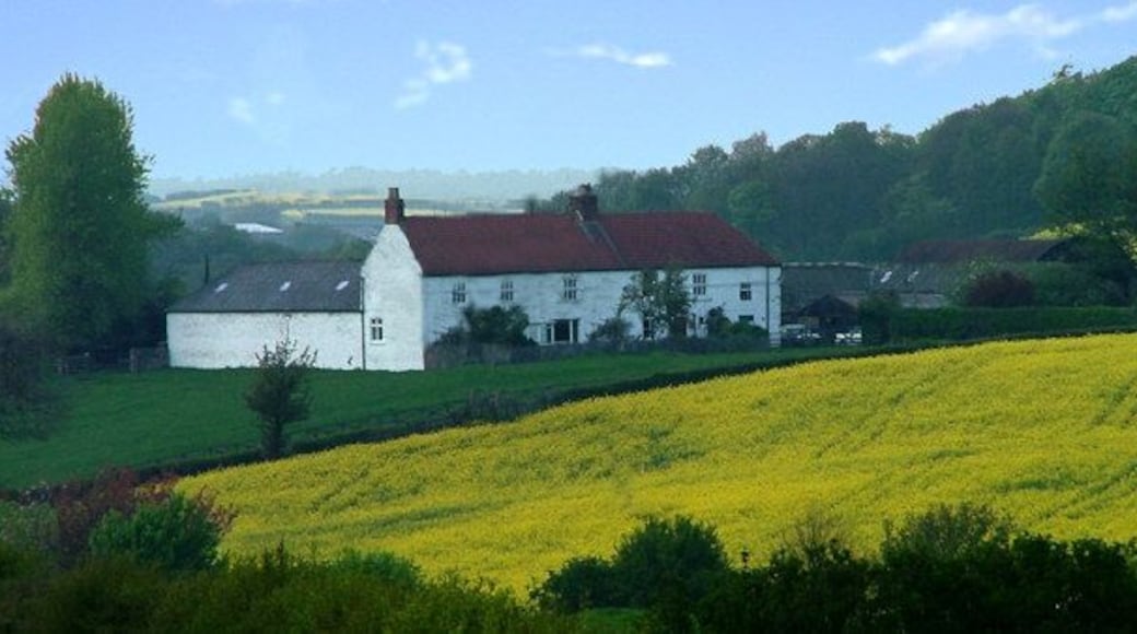 Coldwell Burn Farm. On Salters Lane between Haswell and South Hetton