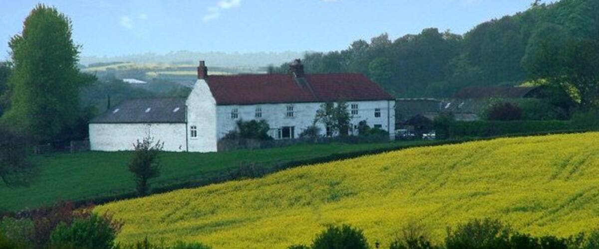 A white house with a red roof in a rural setting, surrounded by fields of yellow flowers and green hills.