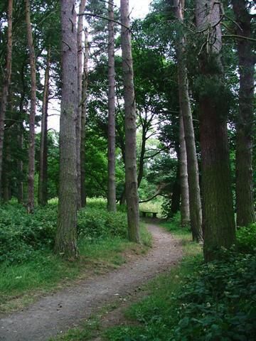 Malton Picnic Area. On the Lanchester Valley Walk