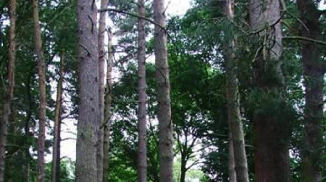 Malton Picnic Area. On the Lanchester Valley Walk