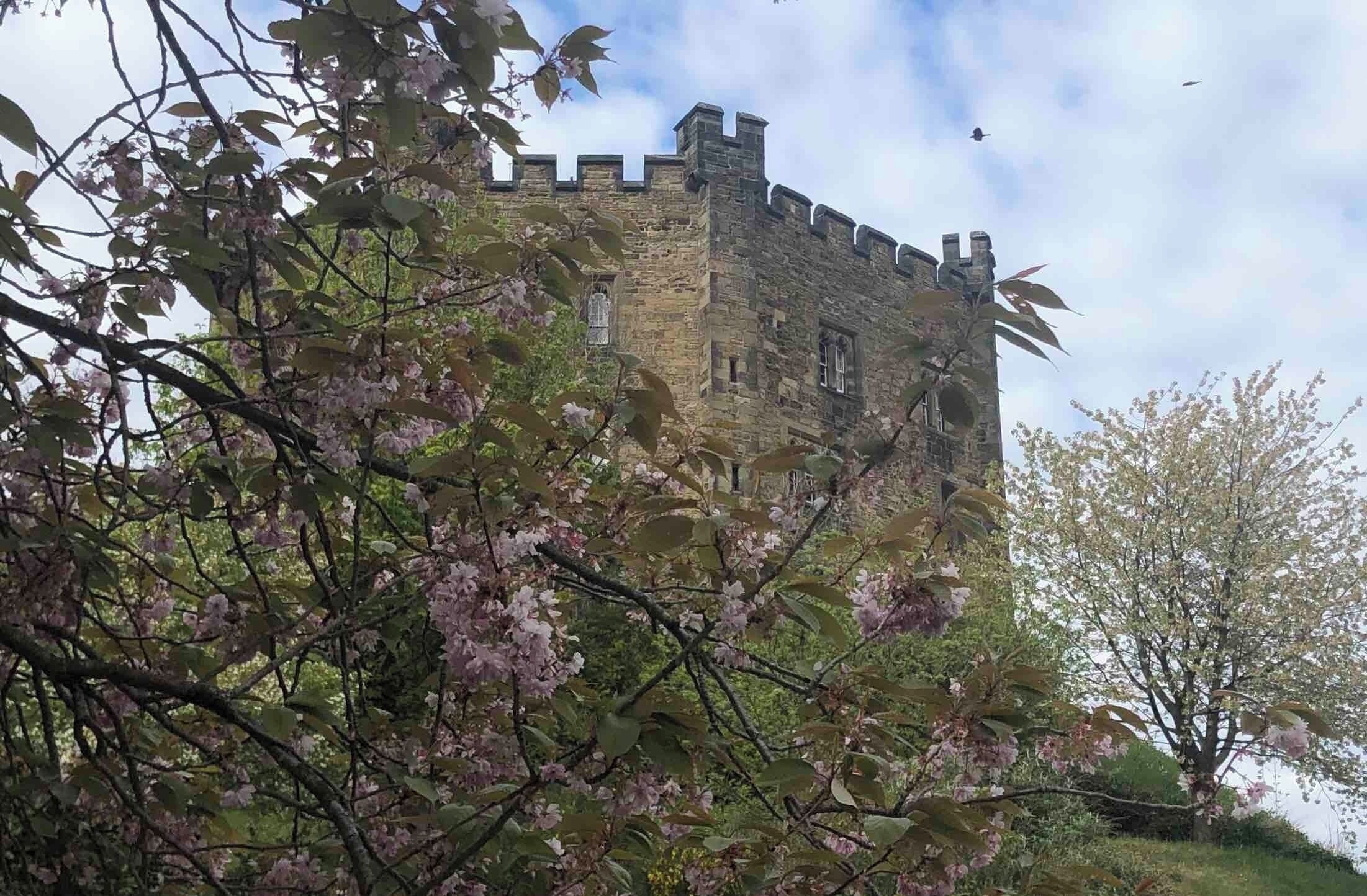 The view from the Cathedral Green looking up to the Castle