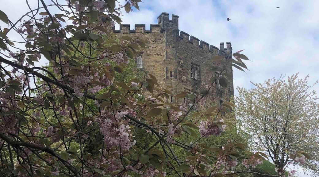 The view from the Cathedral Green looking up to the Castle