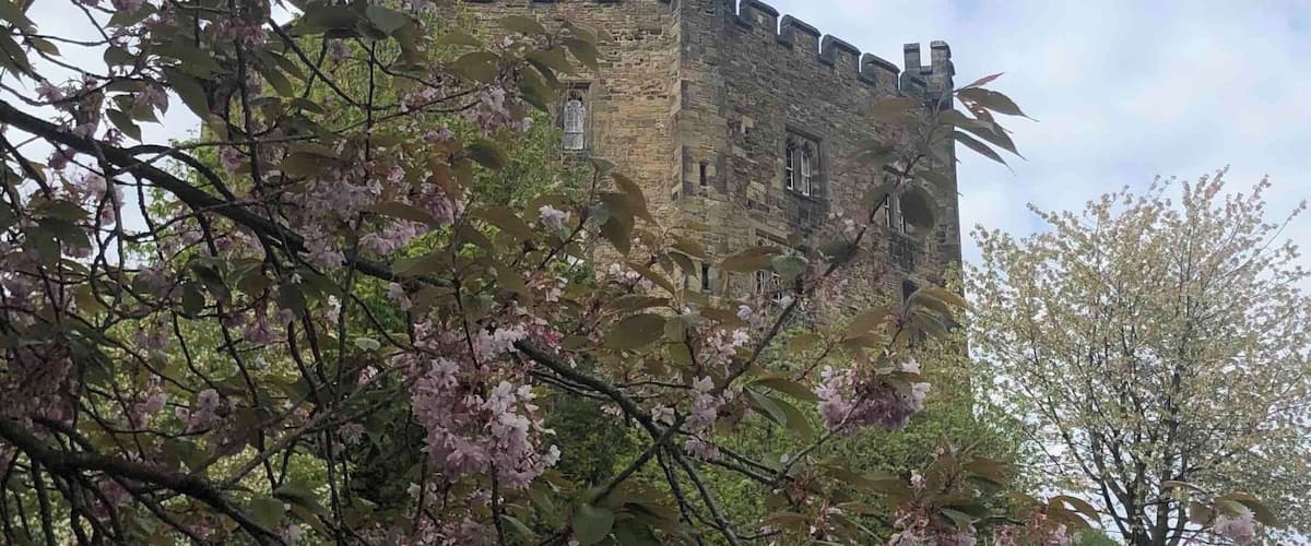The view from the Cathedral Green looking up to the Castle