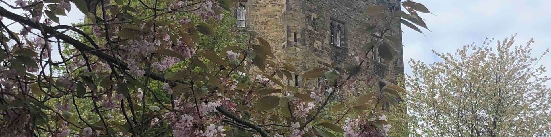 The view from the Cathedral Green looking up to the Castle