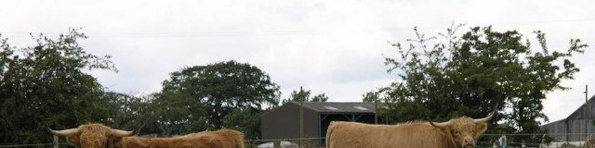 Taking Notice. Old Iversley Farm.