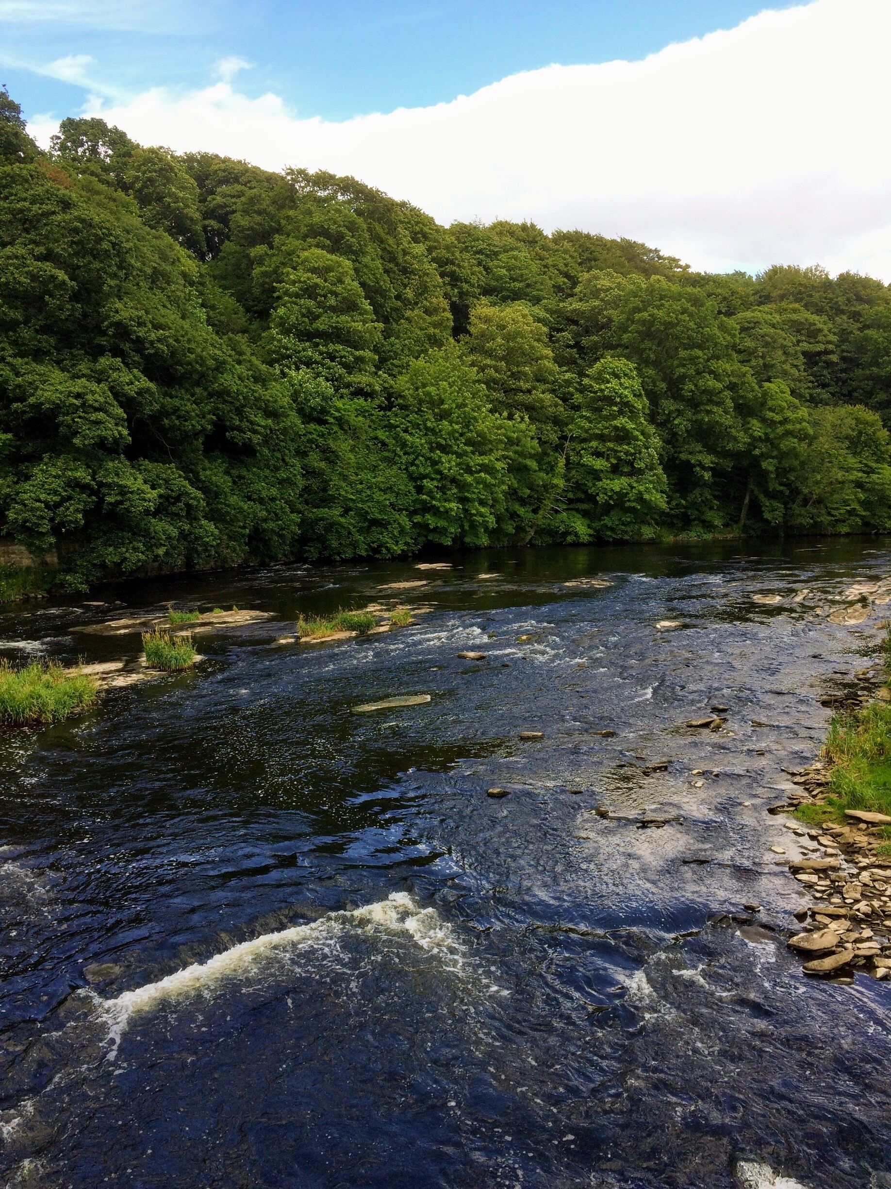 A walk around Finchale Priory, Bishops Auckland. 