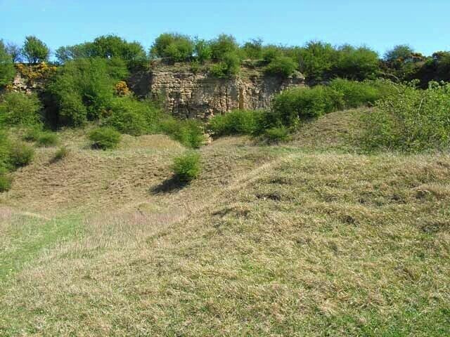 Pittington Quarry. Now abandoned, Pittington Quarry was one of the numerous quarries extracting dolomite from the Magnesian limestone escarpment in eastern county Durham. Many of these sites are now nature reserves, harbouring a rich variety of limestone-specific flora, and this one is a Site of Special Scientific Interest.