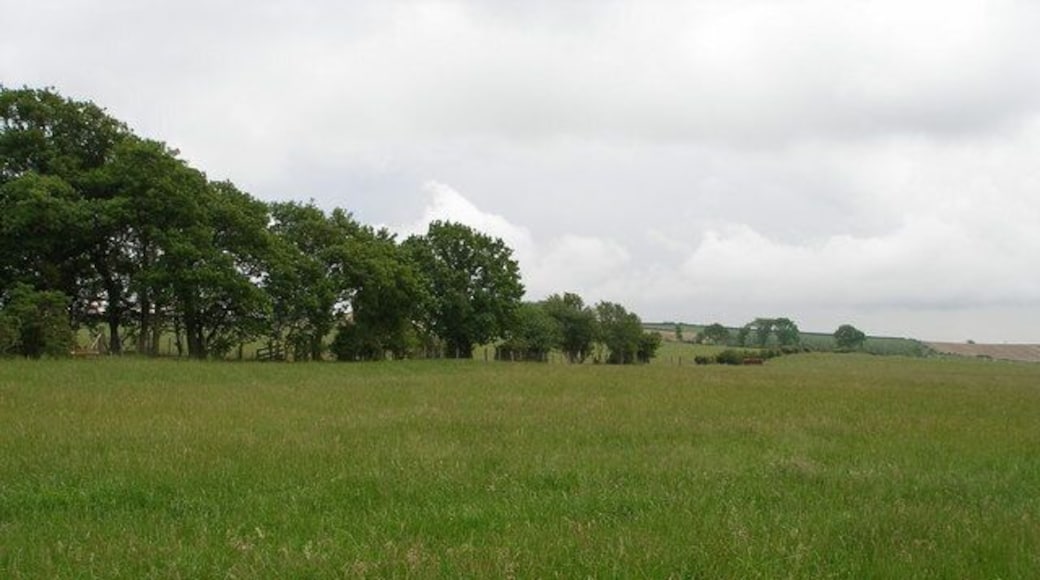View of farmland to the side of Harehill Plantation