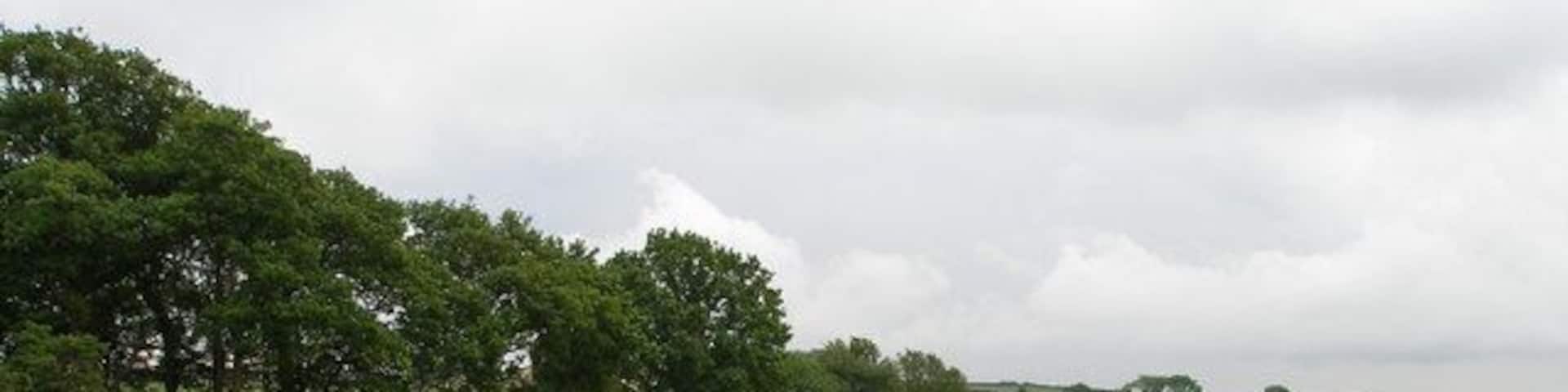 View of farmland to the side of Harehill Plantation