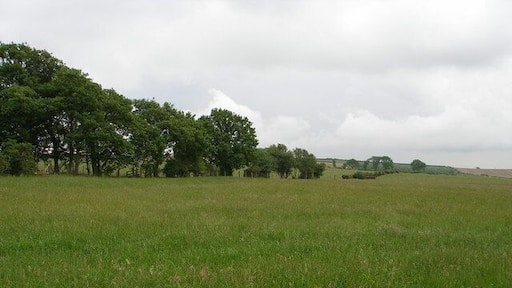 View of farmland to the side of Harehill Plantation