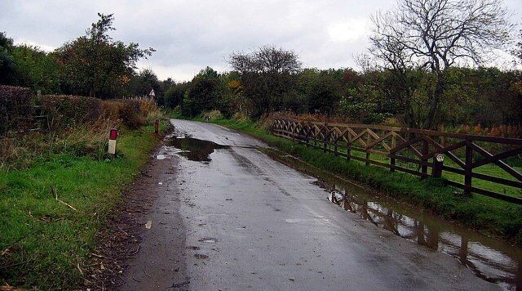 Road passing Hastings House farm
