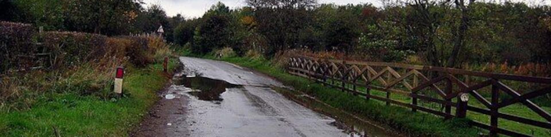 Road passing Hastings House farm