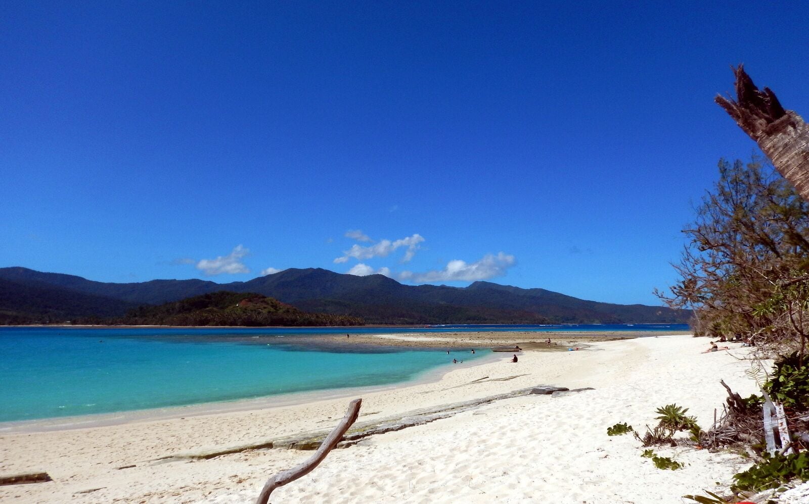 Just loved Mystery Island.  Please head over to facebook or my website for more info.