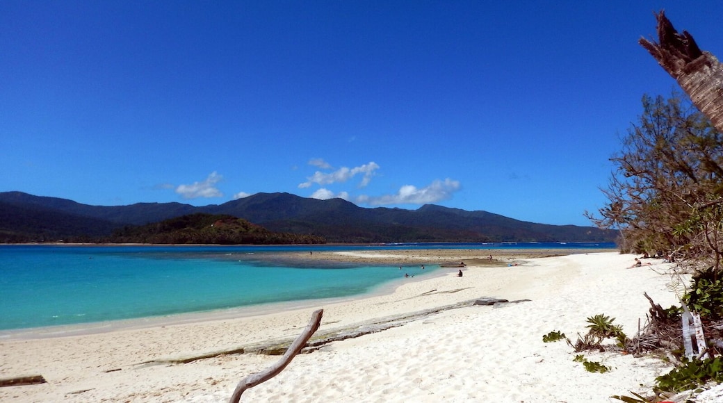 Just loved Mystery Island. Please head over to facebook or my website for more info.