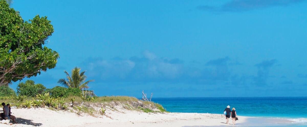 A white sandy beach with clear blue water, palm trees, and two people walking.