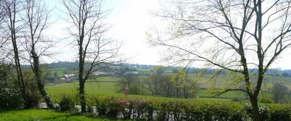 A grassy field with trees and a distant view of a village.