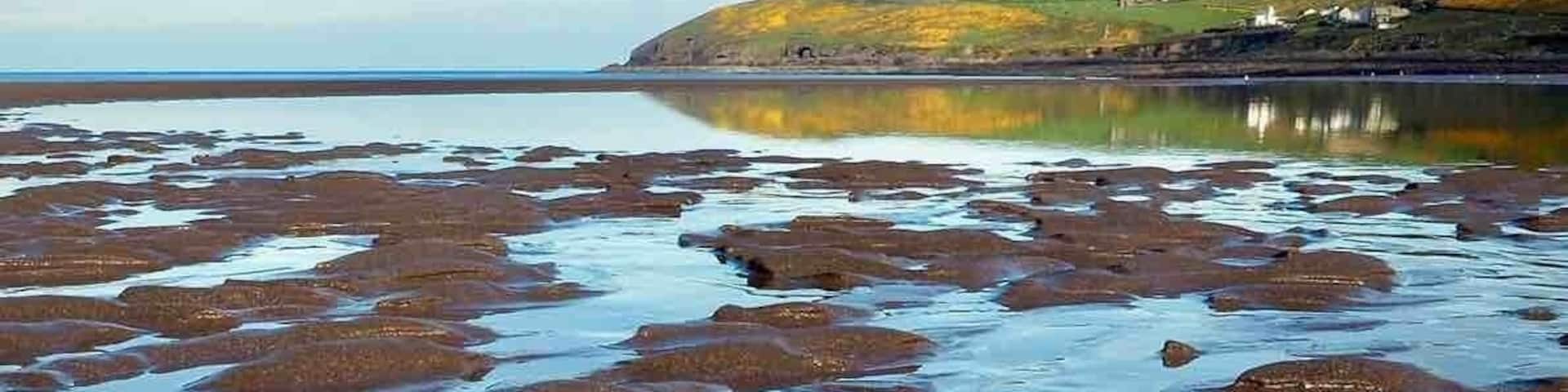 Quiet day at the beach