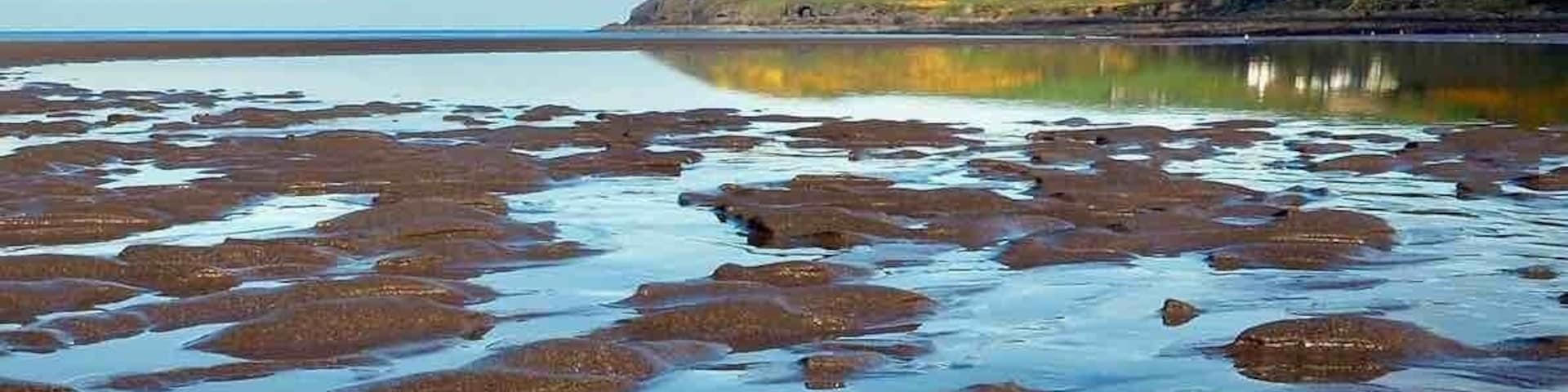 Quiet day at the beach