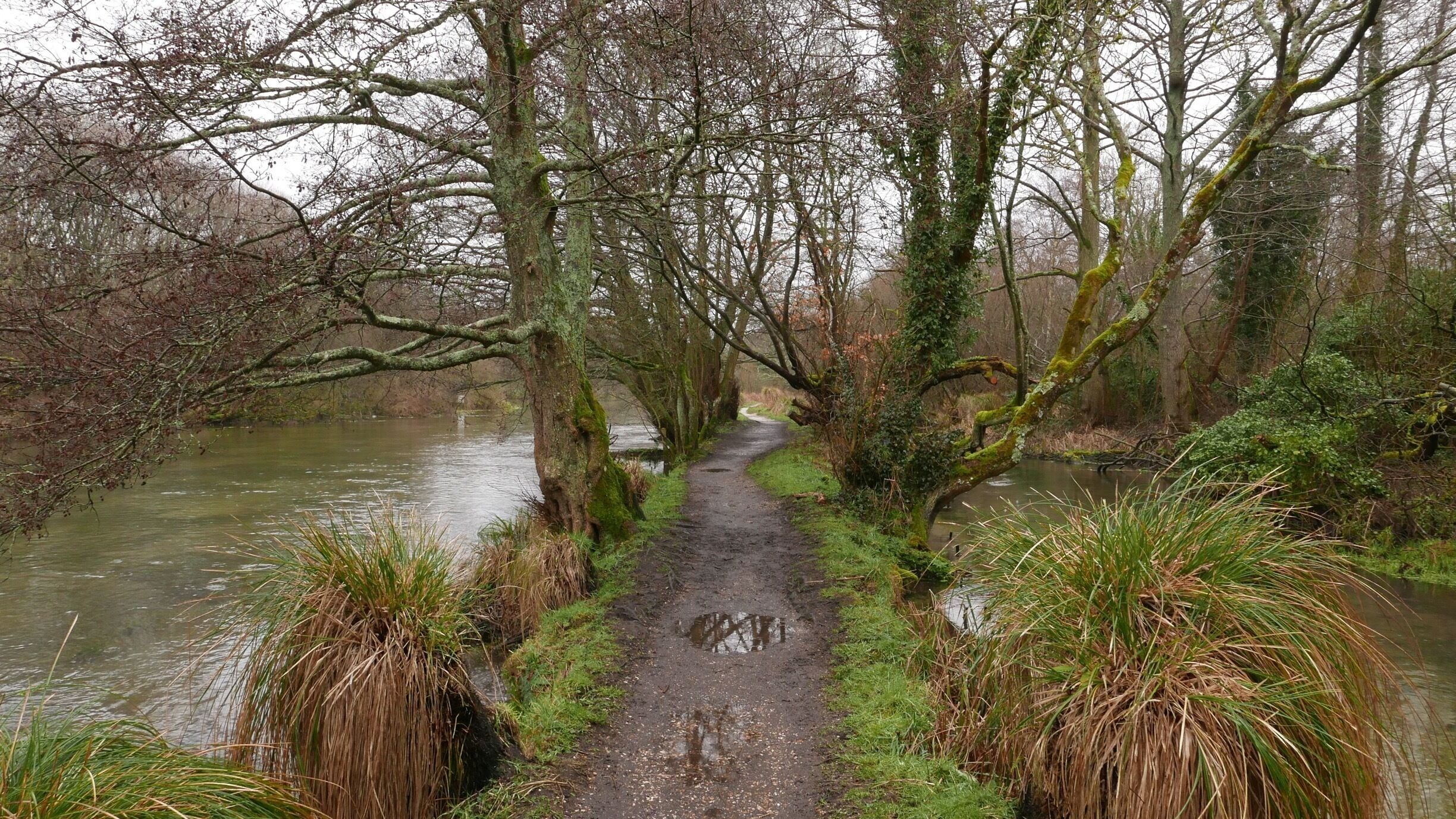 If you want to see wild watercress growing take a walk along the banks of the River Itchen in Itchen Abbas. You might also spot trout in the river and kingfishers flying by plus a duck or two! #Park #River
