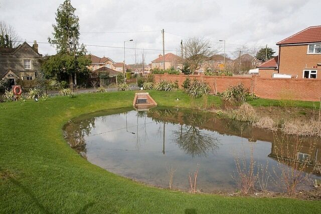 Balancing pond, part of Whitetree Close housing development Formerly part of Whitetree Farm, a well is shown on the map. But I think the main function of this pond is to take run off from the hard landscaping of the new Whiteree Close which is on sloping ground.