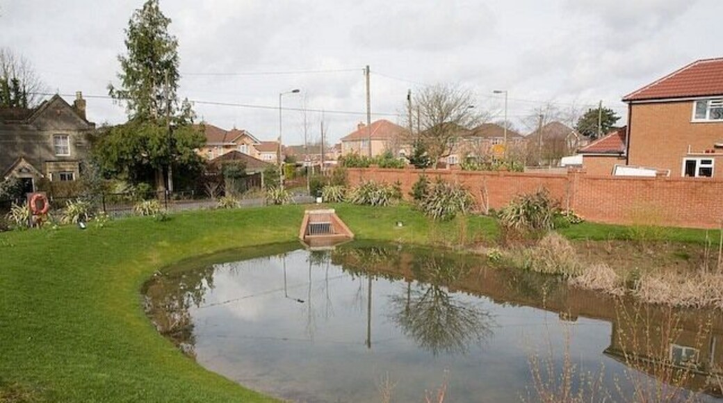 Balancing pond, part of Whitetree Close housing development Formerly part of Whitetree Farm, a well is shown on the map. But I think the main function of this pond is to take run off from the hard landscaping of the new Whiteree Close which is on sloping ground.