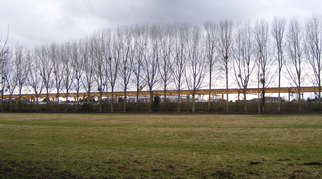 View of line of trees west from the Itchen Way The yellow superstructure beyond the line of trees is part of the Eastleigh rail yard.