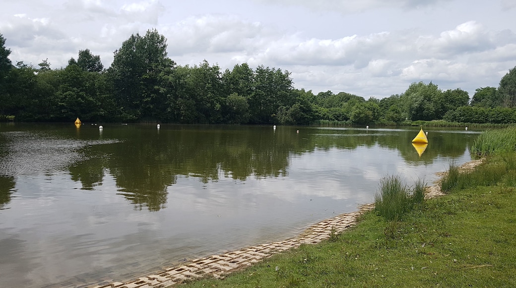 A beautiful picnic spot.. So romantic