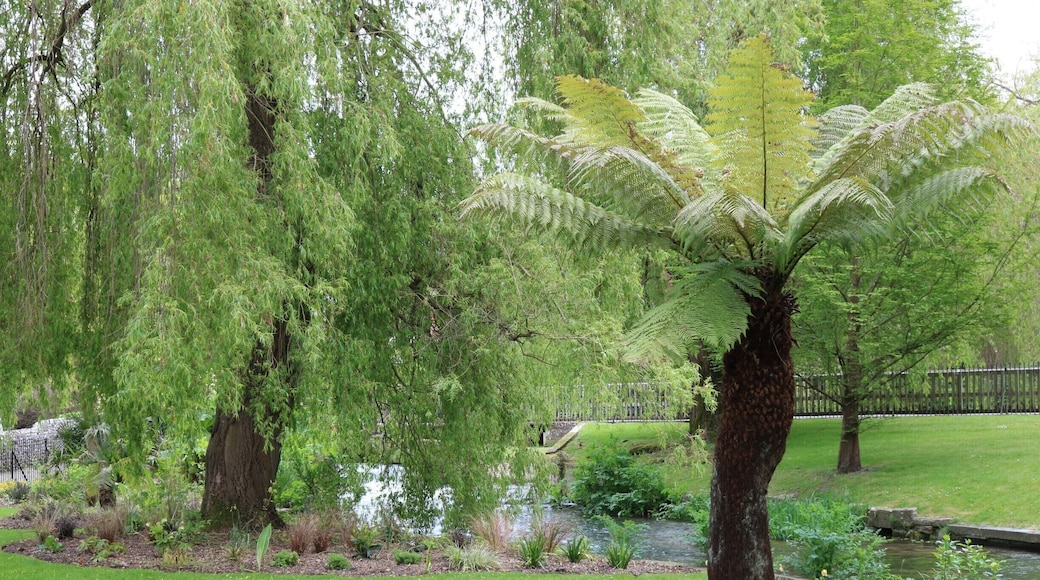 Riverside walk from Winchester City Centre (starting at the City Mill) #SpringFun
