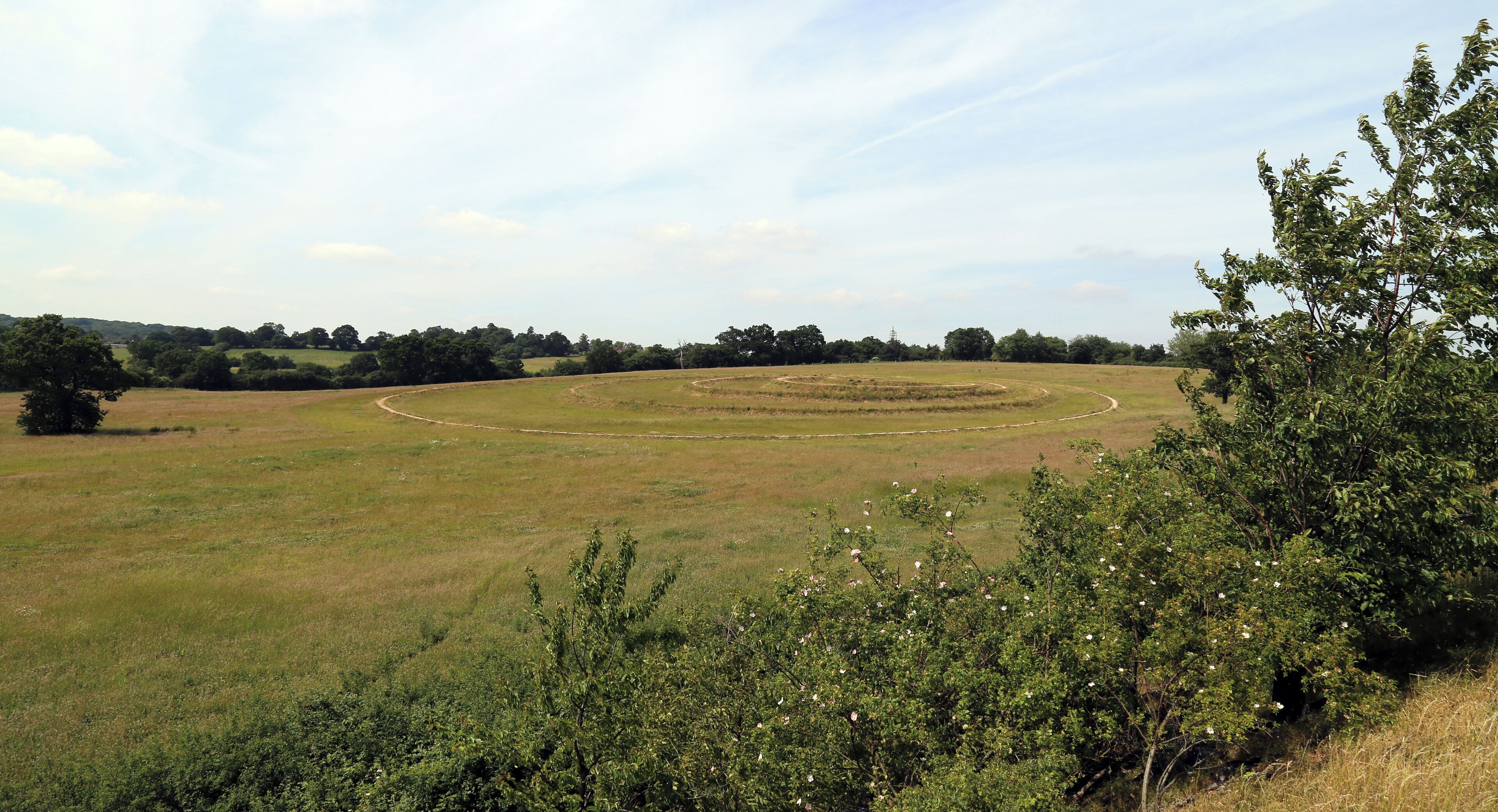 Looking north-west from the M11 towards an earthwork art sculpture of concentric rings by landscape artist Richard Harris at Theydon Bois Woodland Trust 222 acre wood on Abridge Road, Theydon Bois, Essex, England. The earthwork is directly at the west side of the M11 motorway, south of its junction with the M25. Between the raised chalk walkways will be planted British native trees. The shrubs in the foreground include a dog rose.
