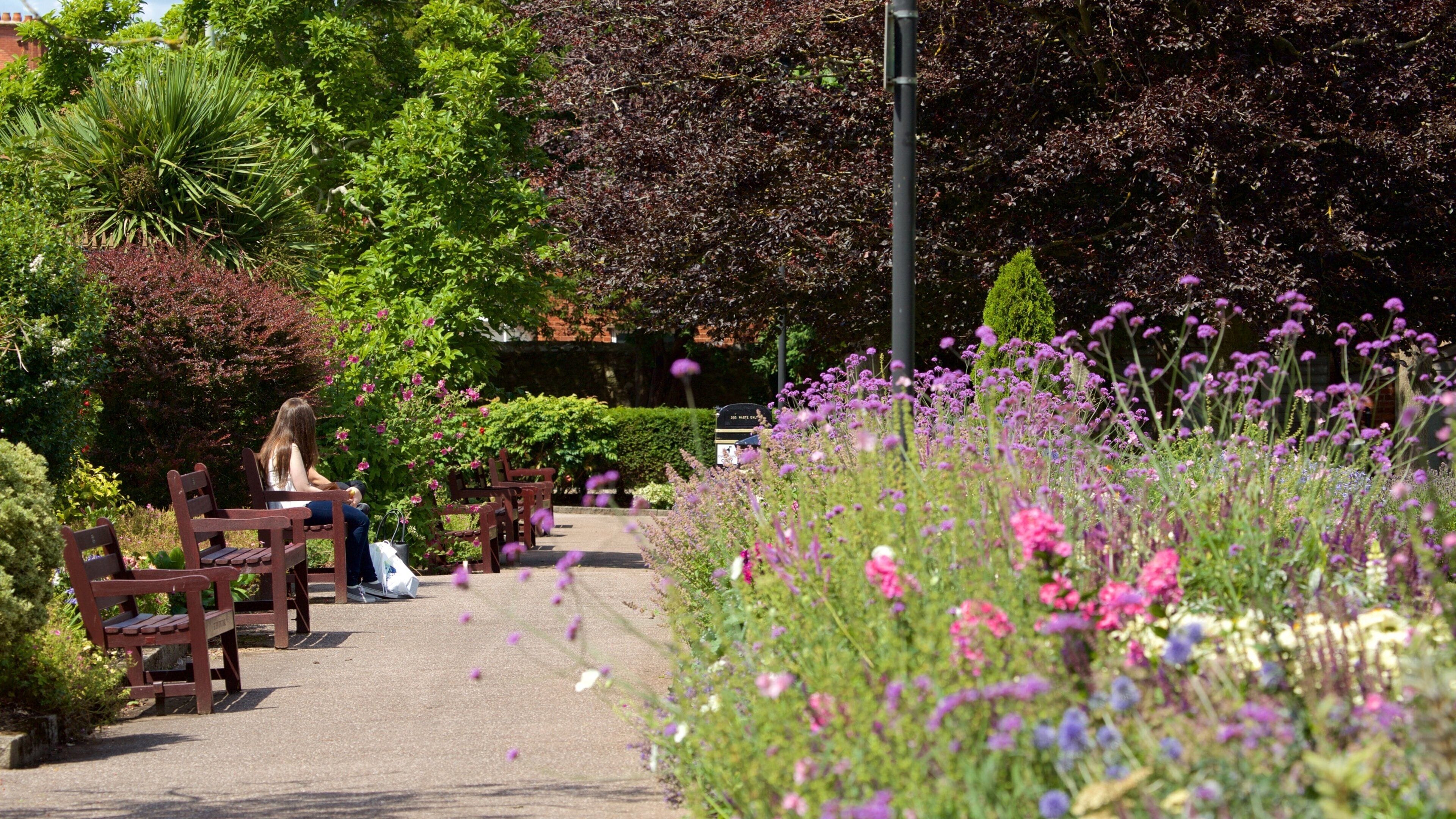 Exmouth featuring a park and wildflowers